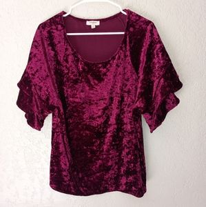 Velvet top